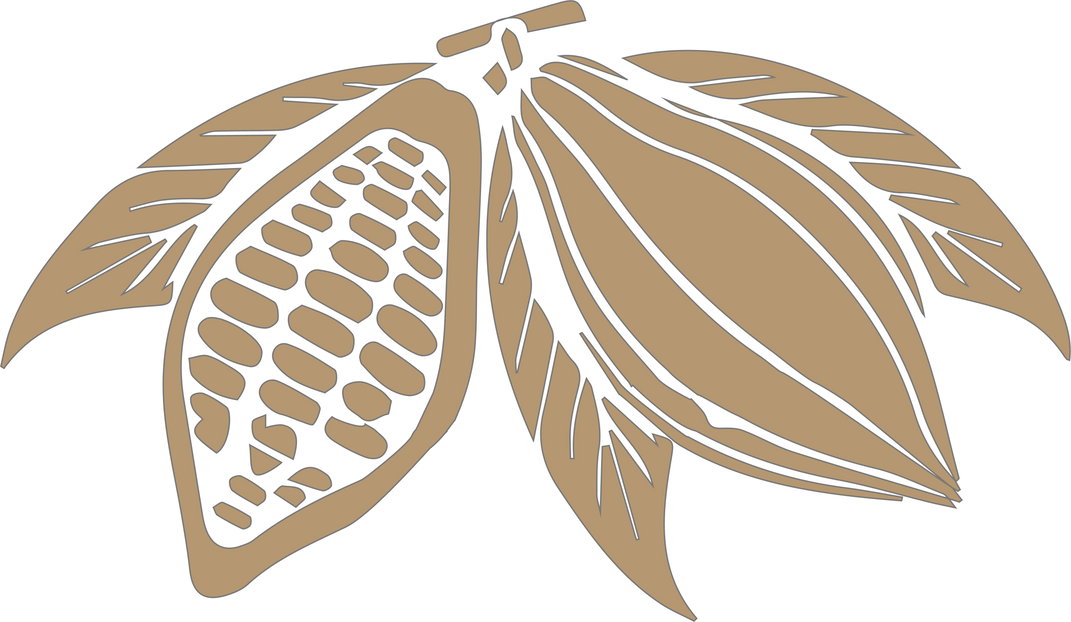 Cacao Plant Illustration